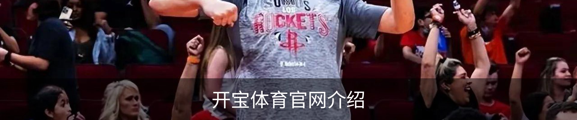 开宝体育官网介绍