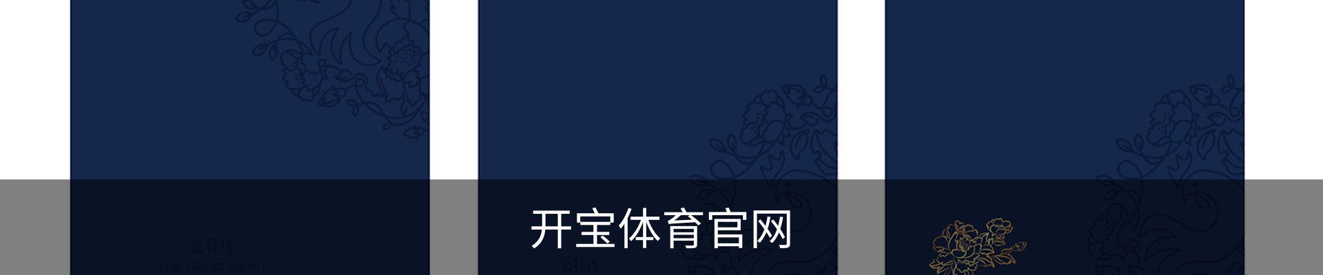 开宝体育官网
